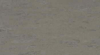 Линолеум Linodur Sport 1059 Slate Grey фото 1 | FLOORDEALER